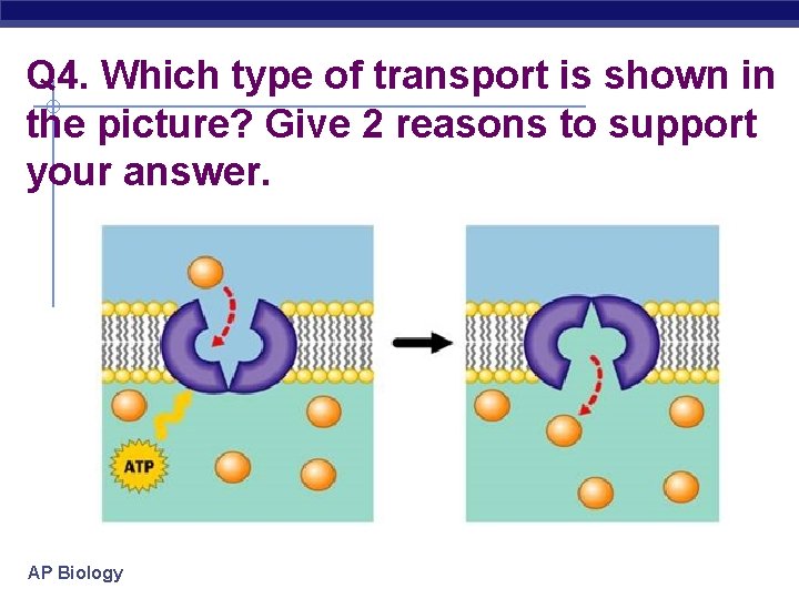 Q 4. Which type of transport is shown in the picture? Give 2 reasons