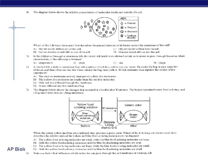 AP Biology 