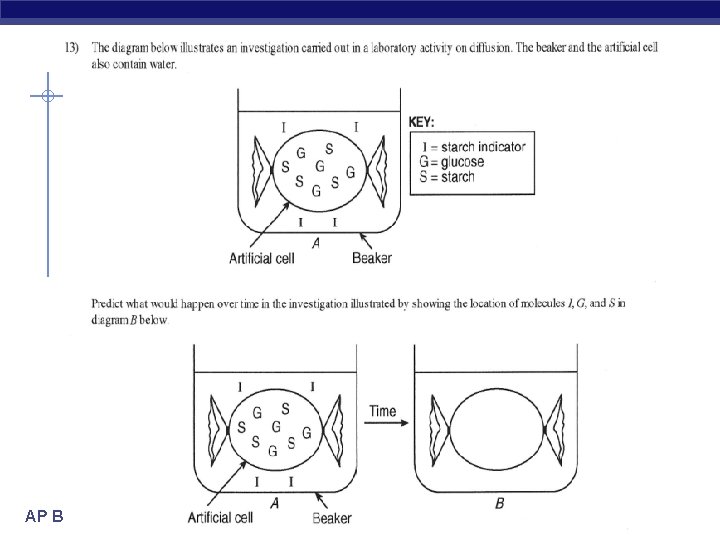 AP Biology 