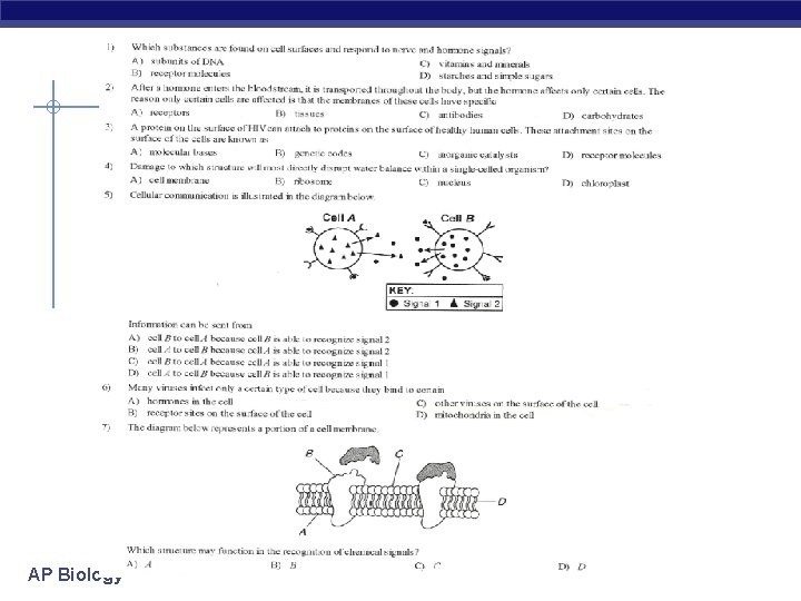 AP Biology 