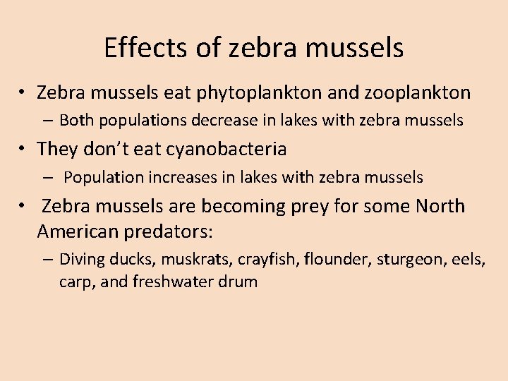 Effects of zebra mussels • Zebra mussels eat phytoplankton and zooplankton – Both populations