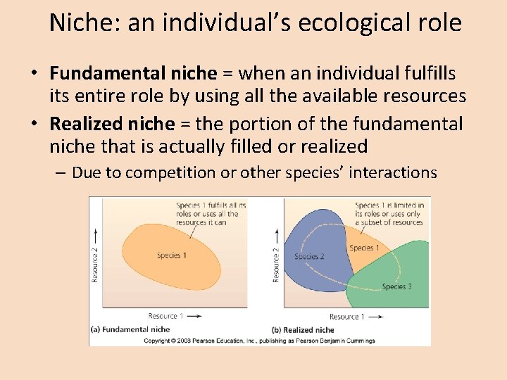 Niche: an individual’s ecological role • Fundamental niche = when an individual fulfills its