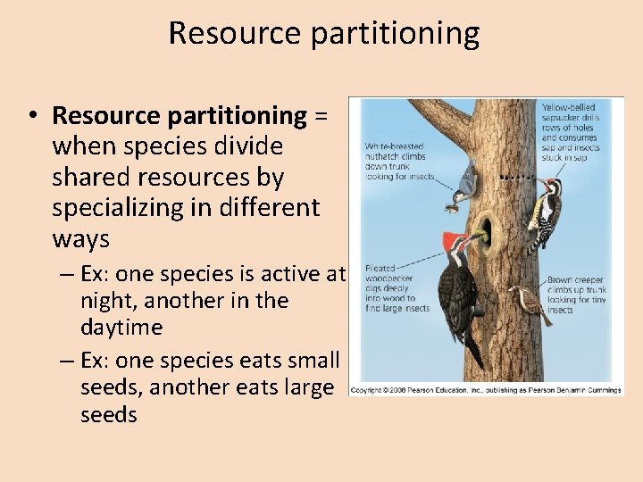 Resource partitioning • Resource partitioning = when species divide shared resources by specializing in