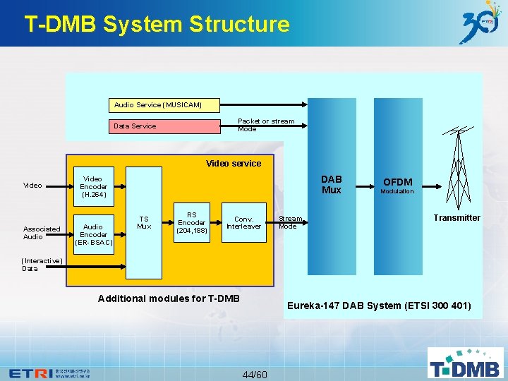 T-DMB System Structure Audio Service (MUSICAM) Packet or stream Mode Data Service Video service