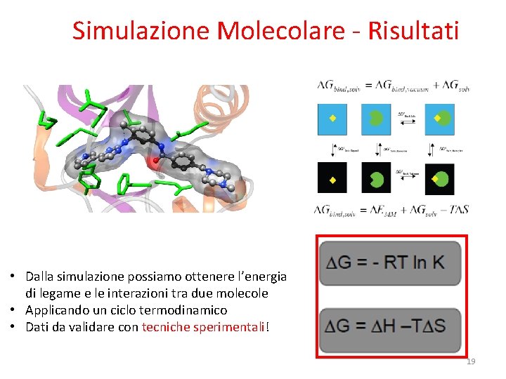 Simulazione Molecolare - Risultati • Dalla simulazione possiamo ottenere l’energia di legame e le