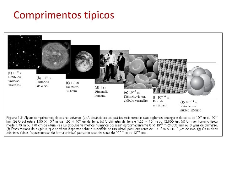 Comprimentos típicos 