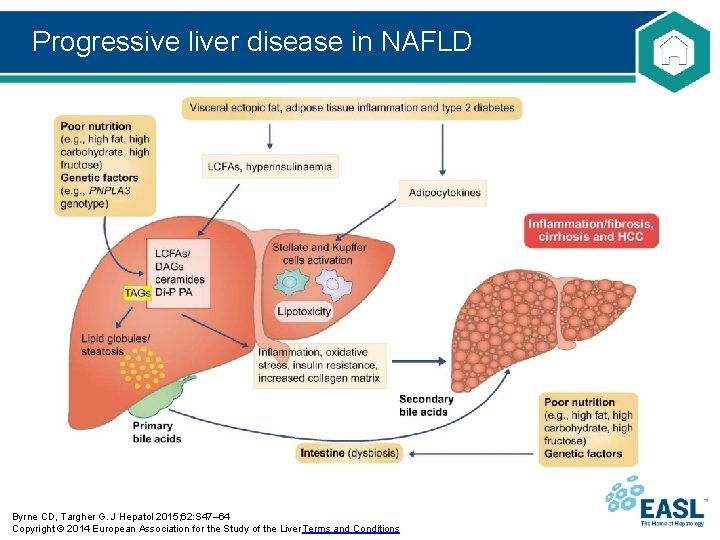 Progressive liver disease in NAFLD Byrne CD, Targher G. J Hepatol 2015; 62: S