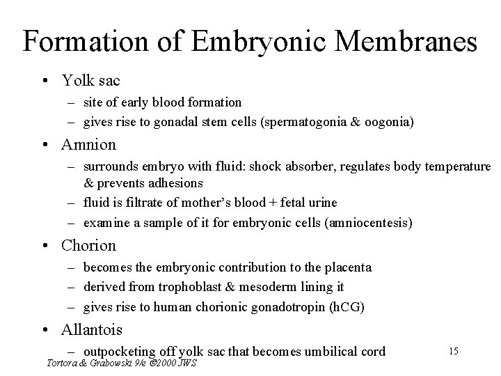 Formation of Embryonic Membranes • Yolk sac – site of early blood formation –