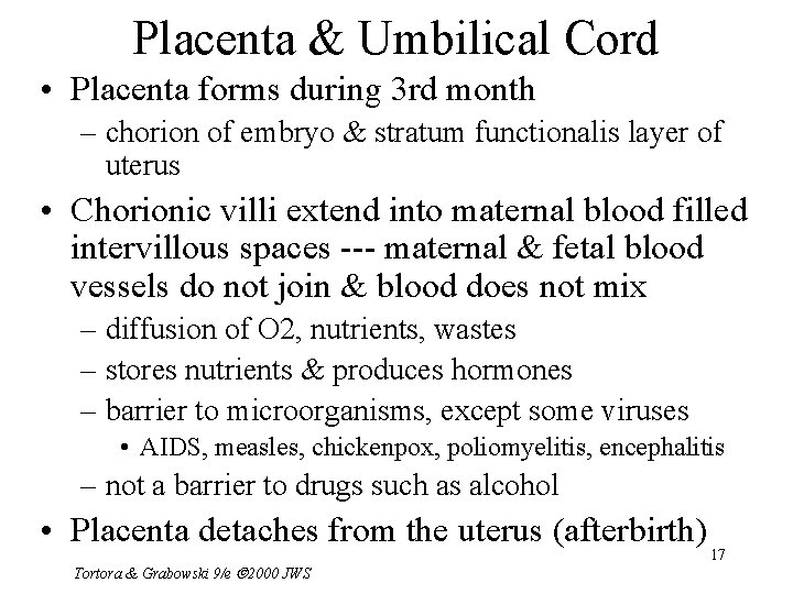 Placenta & Umbilical Cord • Placenta forms during 3 rd month – chorion of