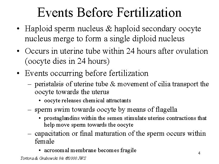 Events Before Fertilization • Haploid sperm nucleus & haploid secondary oocyte nucleus merge to