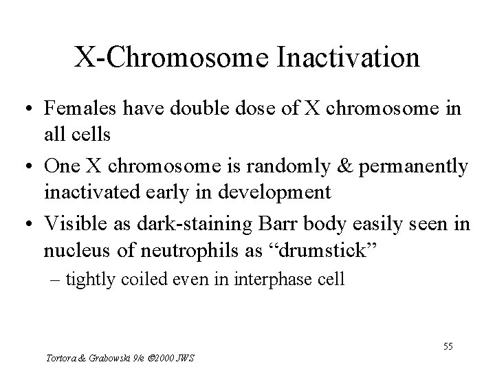 X-Chromosome Inactivation • Females have double dose of X chromosome in all cells •