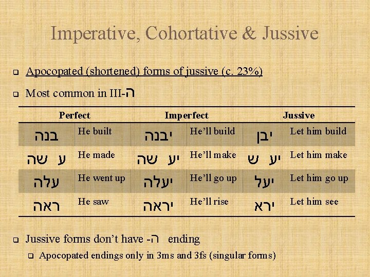 Imperative, Cohortative & Jussive q Apocopated (shortened) forms of jussive (c. 23%) q Most