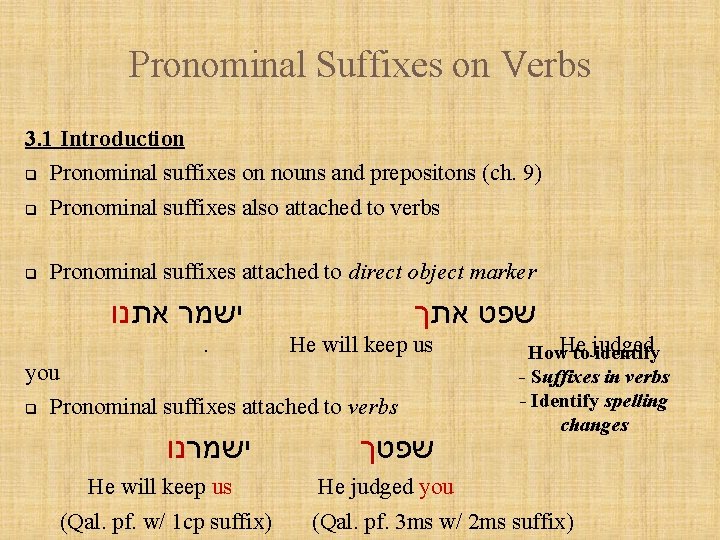 Pronominal Suffixes on Verbs 3. 1 Introduction q Pronominal suffixes on nouns and prepositons