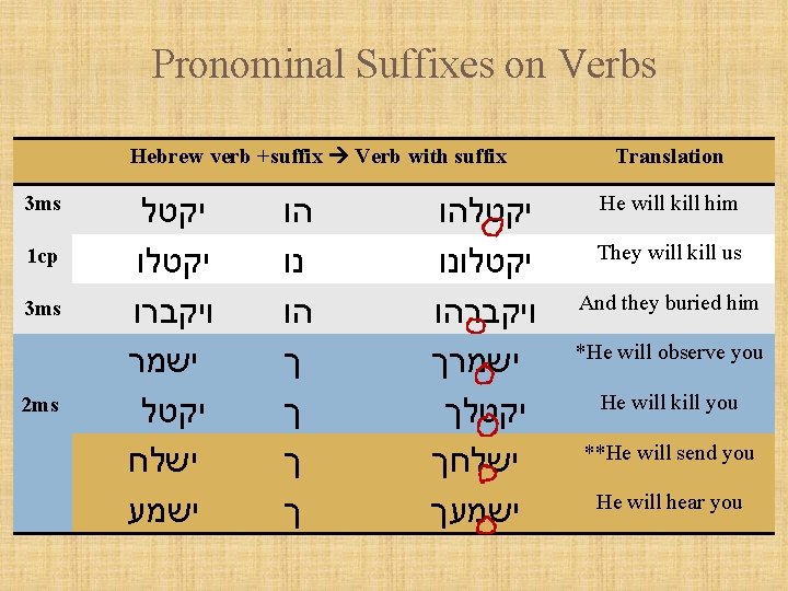 Pronominal Suffixes on Verbs Hebrew verb +suffix Verb with suffix 3 ms 1 cp