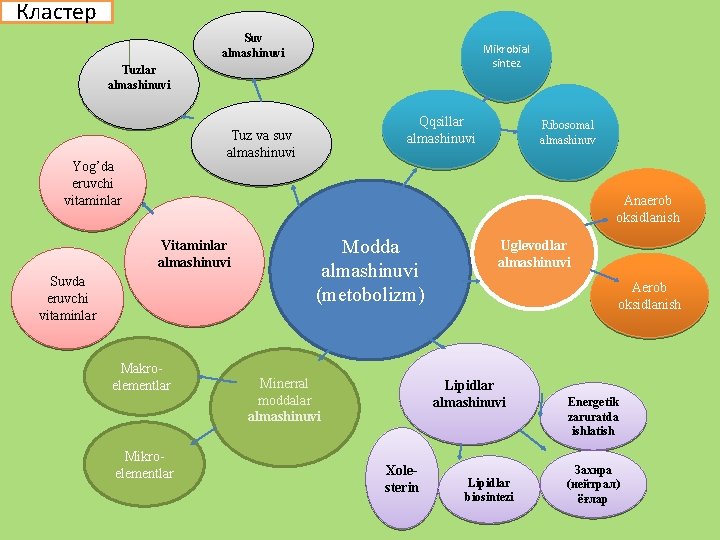 Кластер Suv almashinuvi Mikrobial sintez Tuzlar almashinuvi Qqsillar almashinuvi Tuz va suv almashinuvi Yog’da