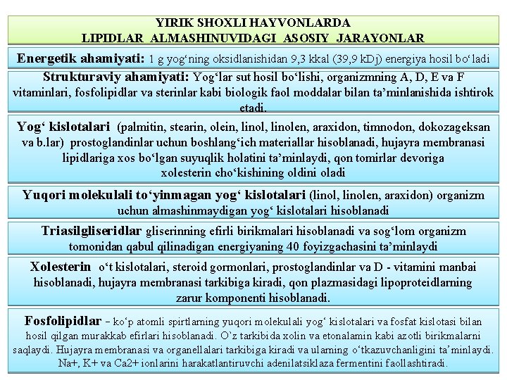 YIRIK SHOXLI HAYVONLARDA LIPIDLAR ALMASHINUVIDAGI ASOSIY JARAYONLAR Energetik ahamiyati: 1 g yog‘ning oksidlanishidan 9,