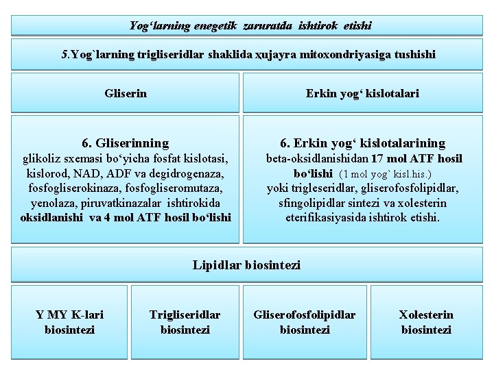 Yog‘larning enegetik zaruratda ishtirok etishi 5. Yog`larning trigliseridlar shaklida ҳujayra mitoxondriyasiga tushishi Gliserin Erkin