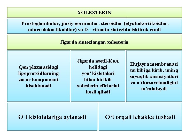 XOLESTERIN Prostoglandinlar, jinsiy gormonlar, steroidlar (glyukokortikoidlar, mineralokortikoidlar) va D - vitamin sintezida ishtirok etadi