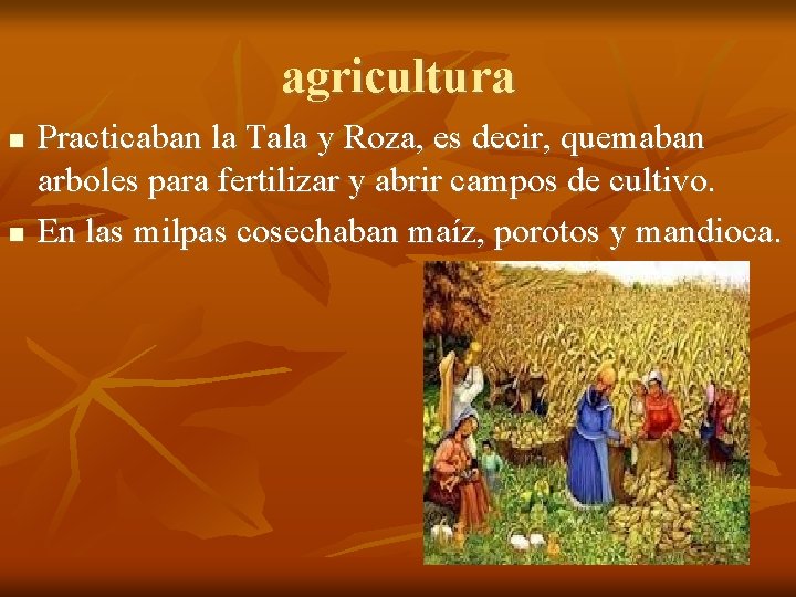 agricultura Practicaban la Tala y Roza, es decir, quemaban arboles para fertilizar y abrir