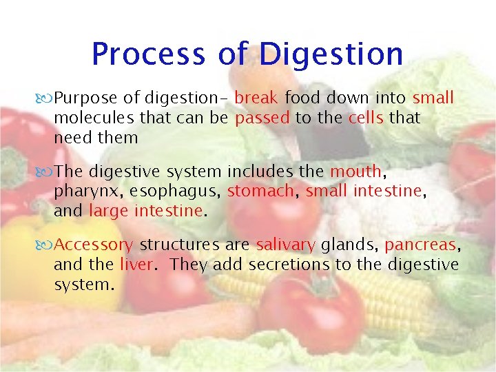 Process of Digestion Purpose of digestion- break food down into small molecules that can Process of Digestion Purpose of digestion- break food down into small molecules that can