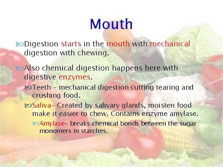 Mouth Digestion starts in the mouth with mechanical digestion with chewing. Also chemical digestion Mouth Digestion starts in the mouth with mechanical digestion with chewing. Also chemical digestion