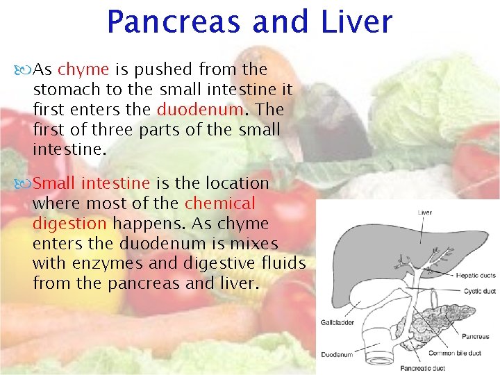 Pancreas and Liver As chyme is pushed from the stomach to the small intestine Pancreas and Liver As chyme is pushed from the stomach to the small intestine