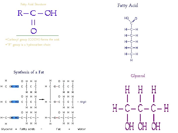Fatty Acid Structure Fatty Acid • Carboxyl group (COOH) forms the acid. • “R” Fatty Acid Structure Fatty Acid • Carboxyl group (COOH) forms the acid. • “R”