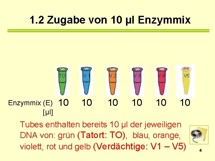 1. 2 Zugabe von 10 µl Enzymmix (E) [µl] TO V 1 V 2