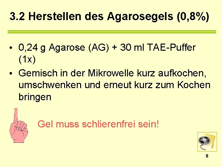 3. 2 Herstellen des Agarosegels (0, 8%) • 0, 24 g Agarose (AG) +