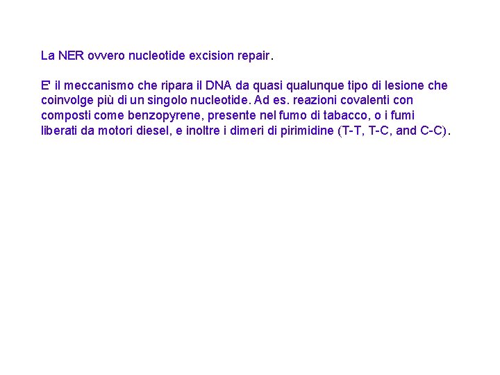 La NER ovvero nucleotide excision repair. E' il meccanismo che ripara il DNA da