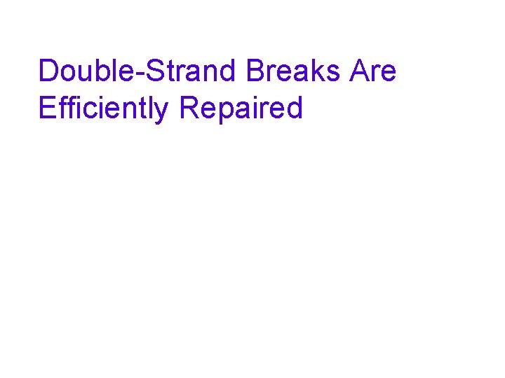 Double-Strand Breaks Are Efficiently Repaired 