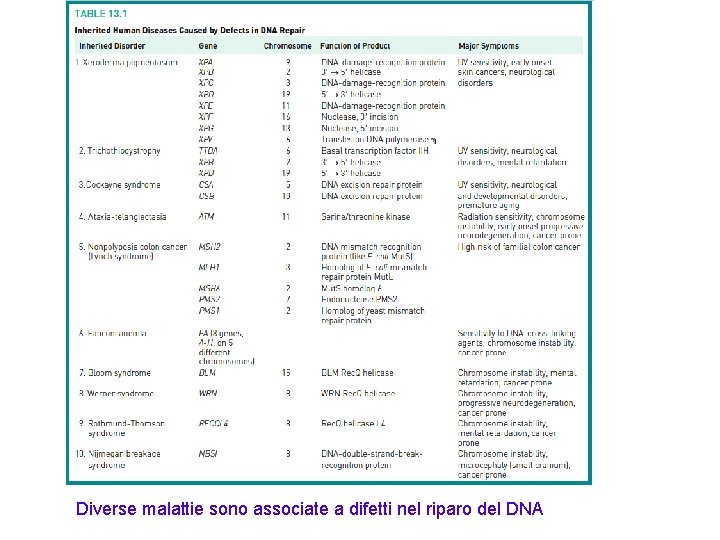 Diverse malattie sono associate a difetti nel riparo del DNA 