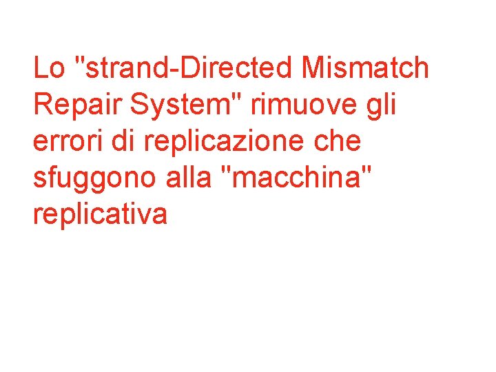 Lo "strand-Directed Mismatch Repair System" rimuove gli errori di replicazione che sfuggono alla "macchina"