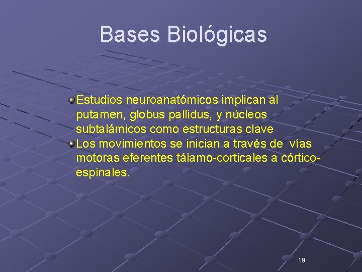 Bases Biológicas Estudios neuroanatómicos implican al putamen, globus pallidus, y núcleos subtalámicos como estructuras