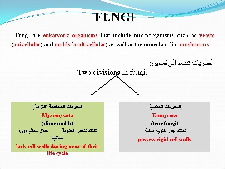 FUNGI Fungi are eukaryotic organisms that include microorganisms such as yeasts (unicellular) and molds