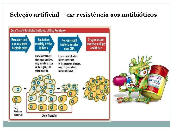 Seleção artificial – ex: resistência aos antibióticos 