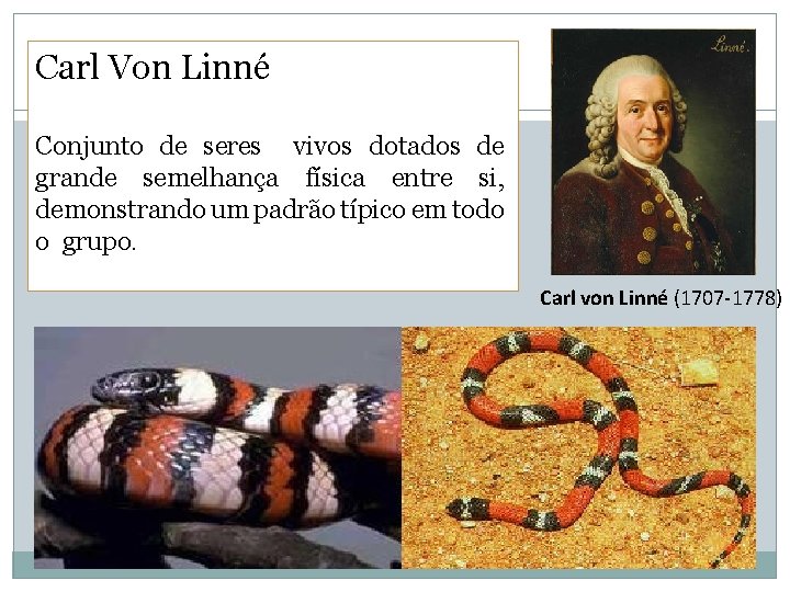 Carl Von Linné Conjunto de seres vivos dotados de grande semelhança física entre si,