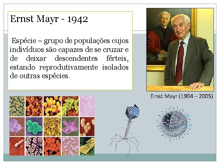 Ernst Mayr - 1942 Espécie = grupo de populações cujos indivíduos são capazes de