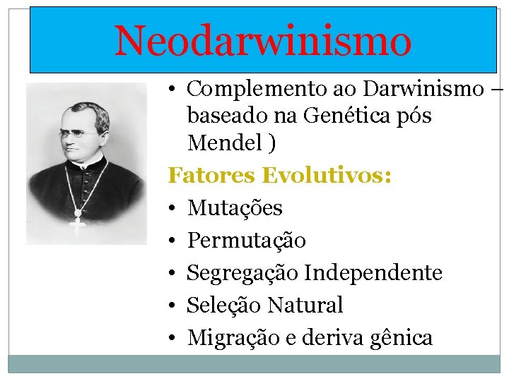 Neodarwinismo • Complemento ao Darwinismo – baseado na Genética pós Mendel ) Fatores Evolutivos: