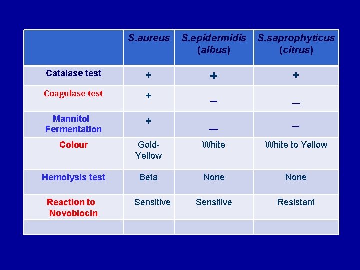 S. aureus S. epidermidis (albus) S. saprophyticus (citrus) Catalase test + + + Coagulase