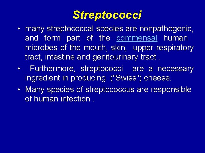 Streptococci • many streptococcal species are nonpathogenic, and form part of the commensal human