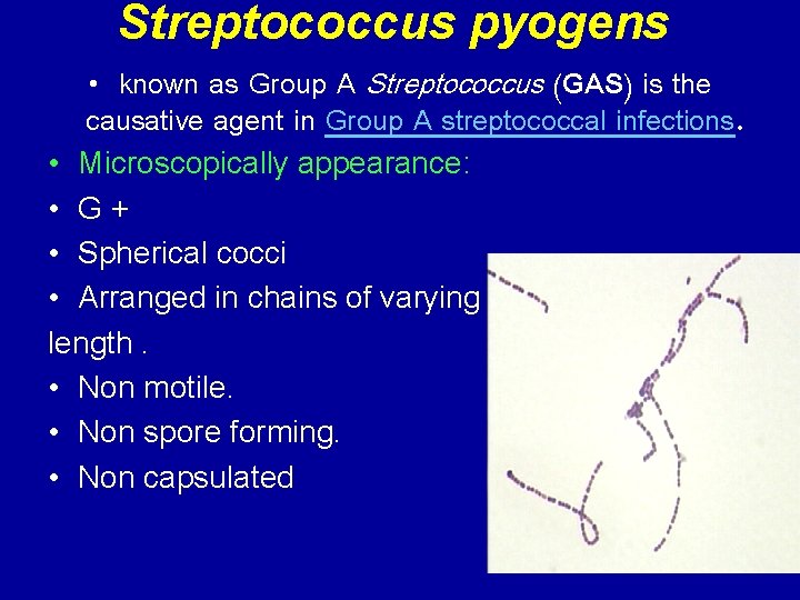 Streptococcus pyogens • known as Group A Streptococcus (GAS) is the causative agent in