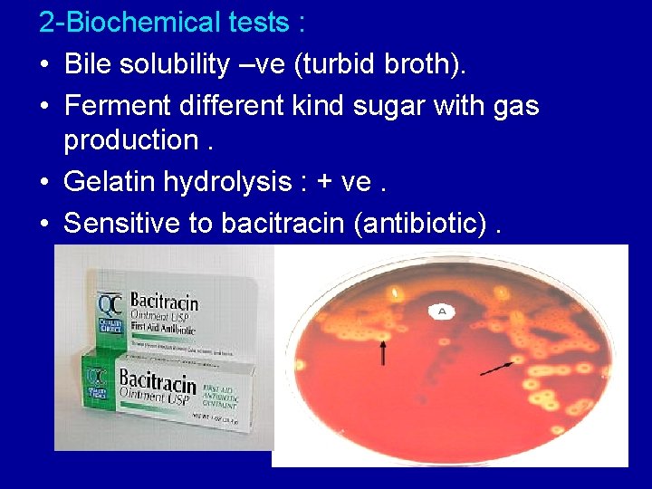 2 -Biochemical tests : • Bile solubility –ve (turbid broth). • Ferment different kind