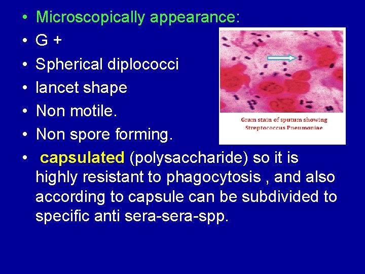  • • Microscopically appearance: G+ Spherical diplococci lancet shape Non motile. Non spore