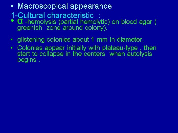  • Macroscopical appearance 1 -Cultural characteristic : • α -hemolysis (partial hemolytic) on