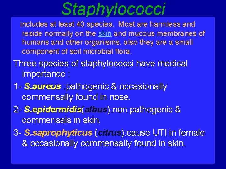 Staphylococci includes at least 40 species. Most are harmless and reside normally on the