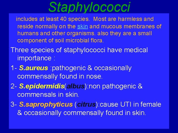 Staphylococci includes at least 40 species. Most are harmless and reside normally on the