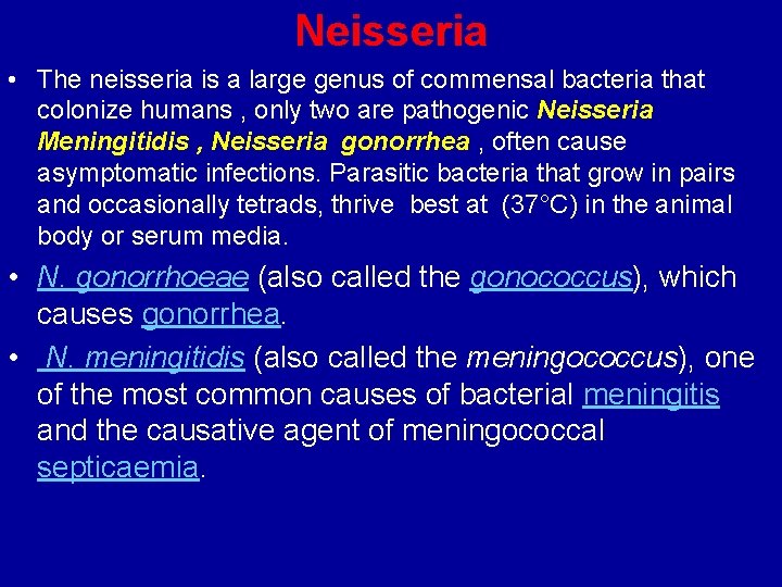 Neisseria • The neisseria is a large genus of commensal bacteria that colonize humans