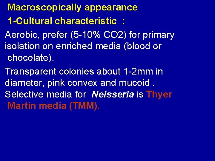 Macroscopically appearance 1 -Cultural characteristic : Aerobic, prefer (5 -10% CO 2) for primary