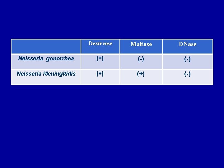 Dextrcose Maltose DNase Neisseria gonorrhea (+) (-) Neisseria Meningitidis (+) (-) 